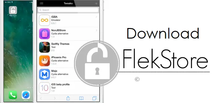 FlekStore iOS App Download for iPhone & iPad